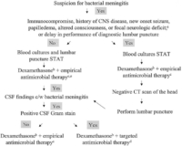 A Patient with Suspected Bacterial Meningitis? - NEJM Knowledge+